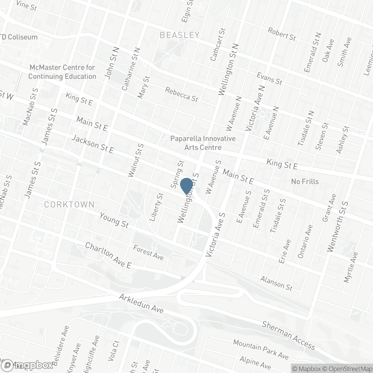 66 WELLINGTON STREET S, Hamilton, Ontario L8N 2R1